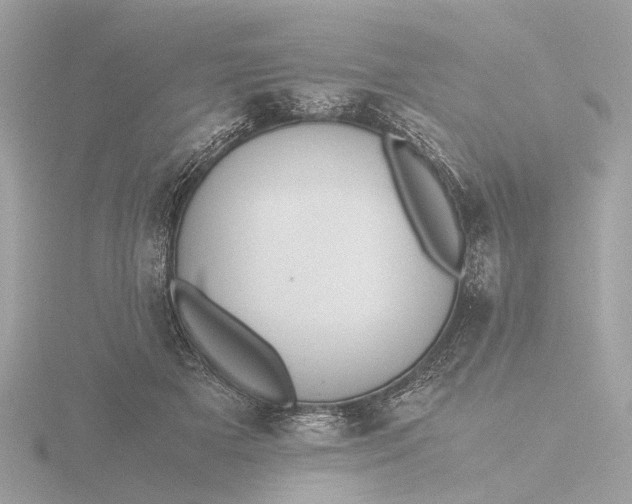X0000116420505200912221448