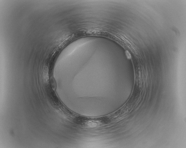 X0000116420508200912221448