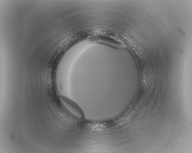 X0000116420512200912221448