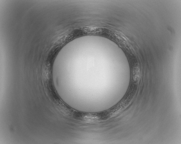 X0000116420515200912221448