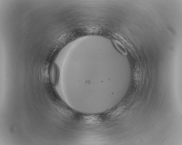 X0000116420516200912221448
