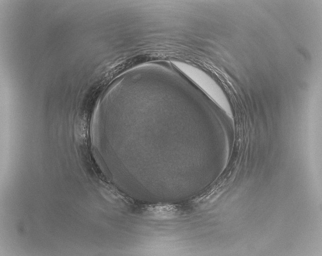 X0000116420517200912221448