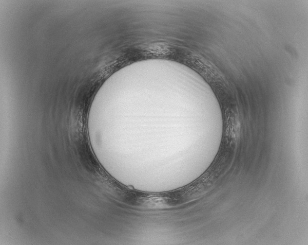 X0000116420518200912221448