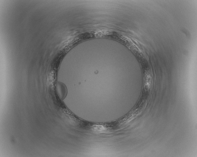X0000116420519200912221448