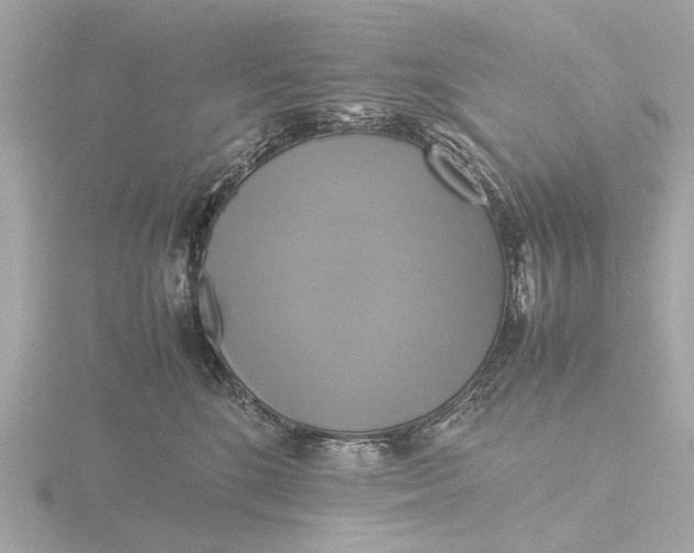 X0000116420520200912221448