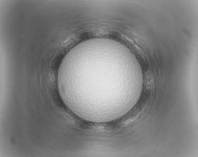 X0000116420523200912221448