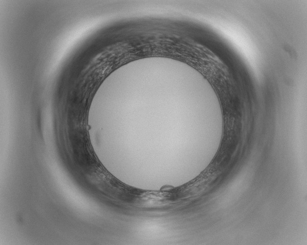 X0000116420526200912221448