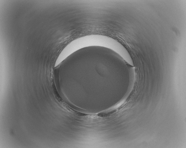 X0000116420528200912221448