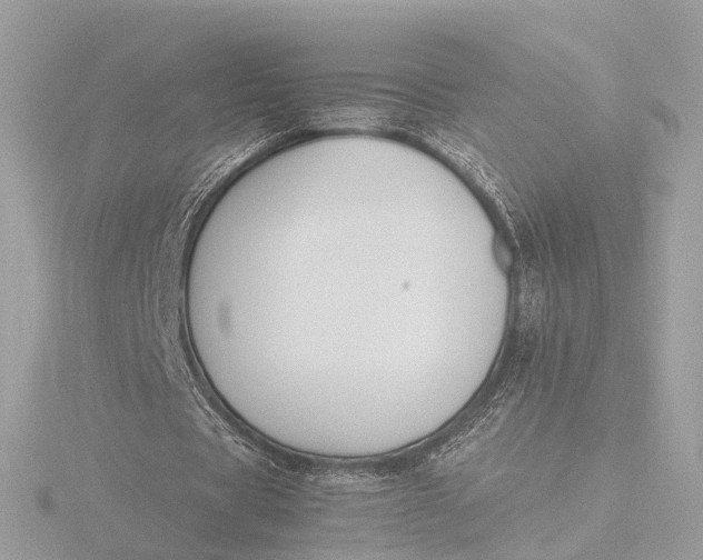 X0000116420529200912221447