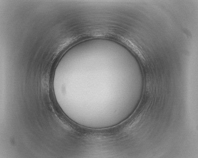 X0000116420530200912221447