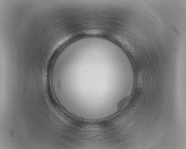 X0000116420535200912221447