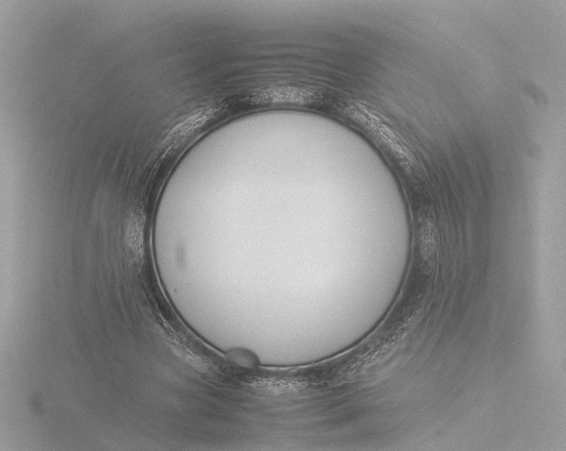 X0000116420537200912221447