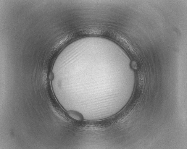 X0000116420538200912221447
