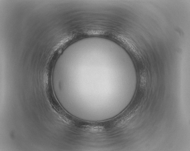 X0000116420539200912221447
