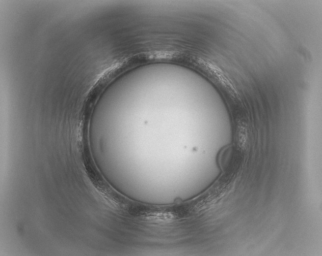 X0000116420543200912221447