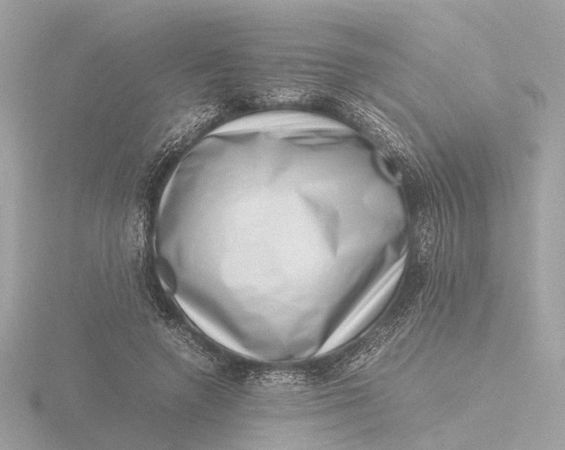 X0000116420546200912221447