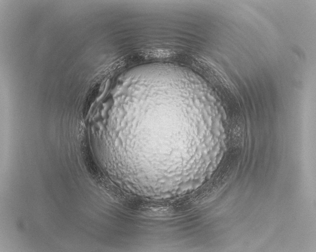 X0000116420555200912221447