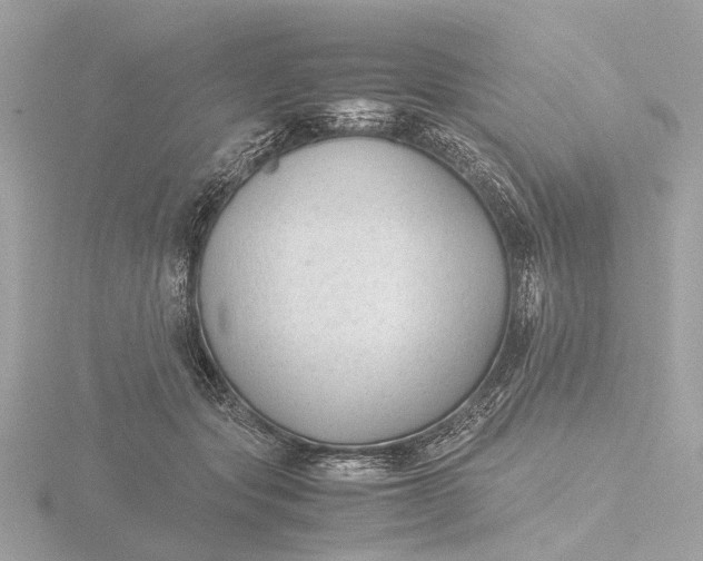 X0000116420557200912221447