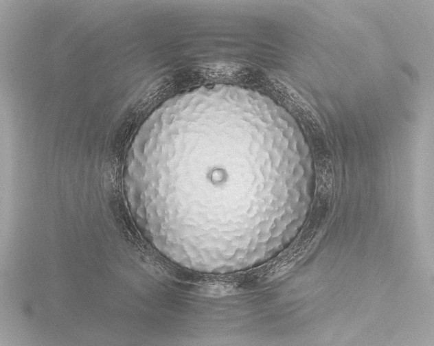 X0000116420561200912221447