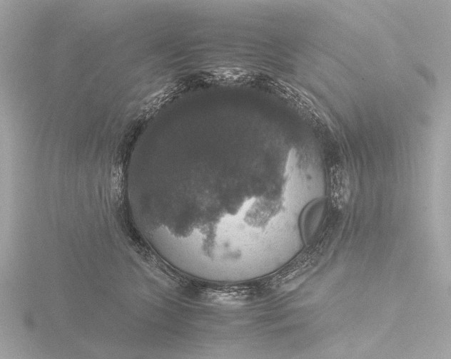X0000116420563200912221448