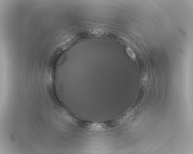 X0000116420566200912221448