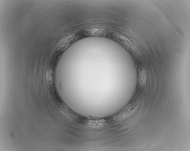 X0000116420571200912221448