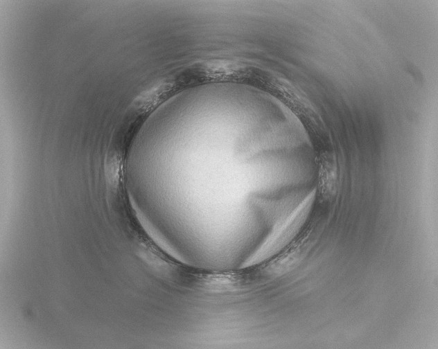 X0000116420574200912221448