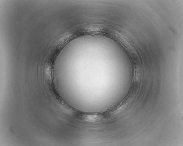 X0000116420575200912221448