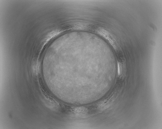 X0000116420579200912221447