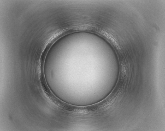 X0000116420582200912221447