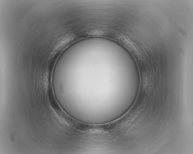 X0000116420586200912221447