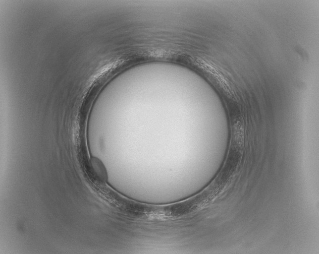 X0000116420587200912221447