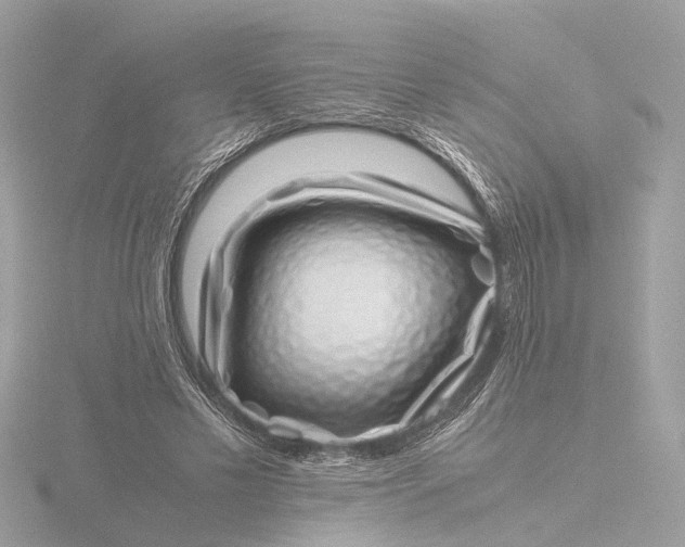 X0000116420589200912221447