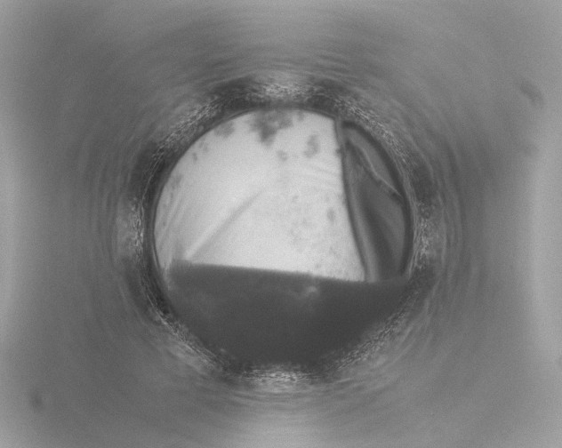 X0000116420593200912221447