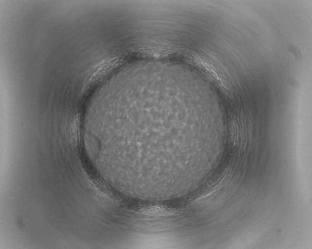 X0000116420594200912221447