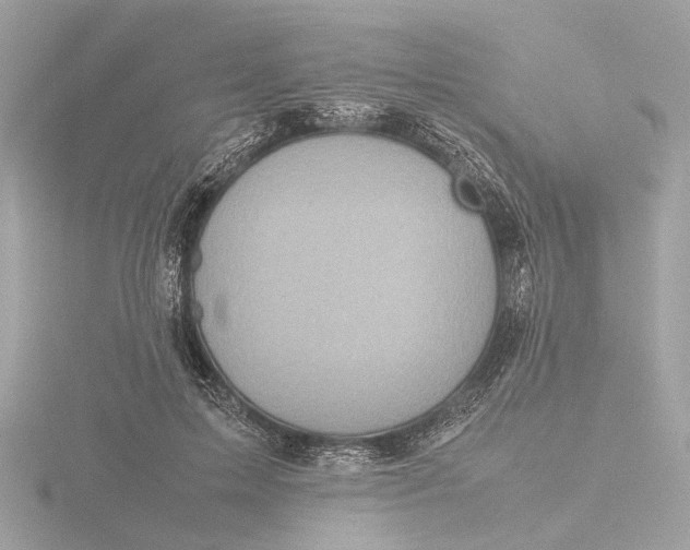 X0000116420599200912221447