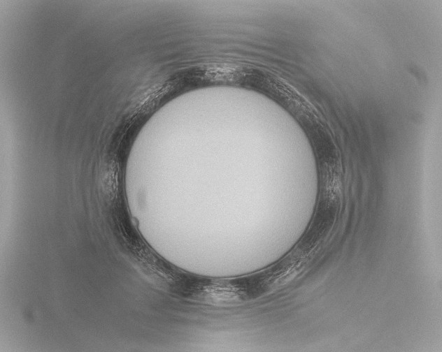 X0000116420603200912221447