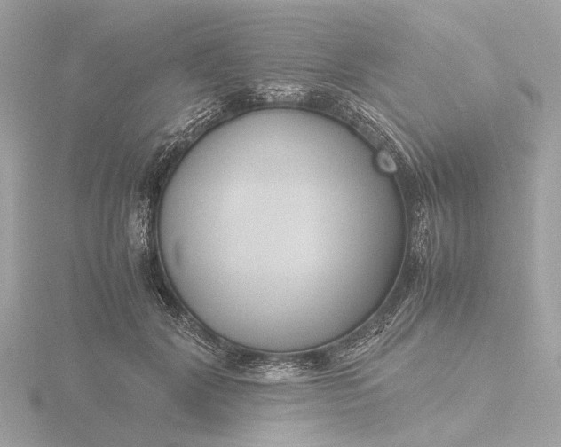 X0000116420604200912221447