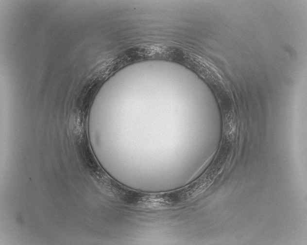 X0000116420607200912221447