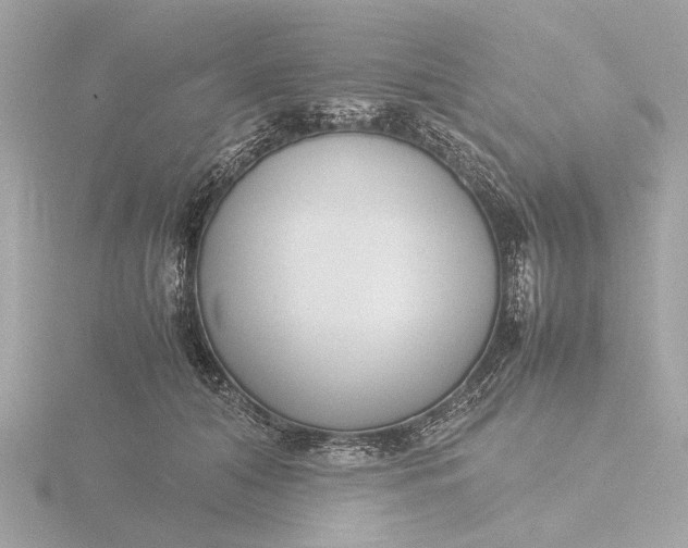 X0000116420608200912221447