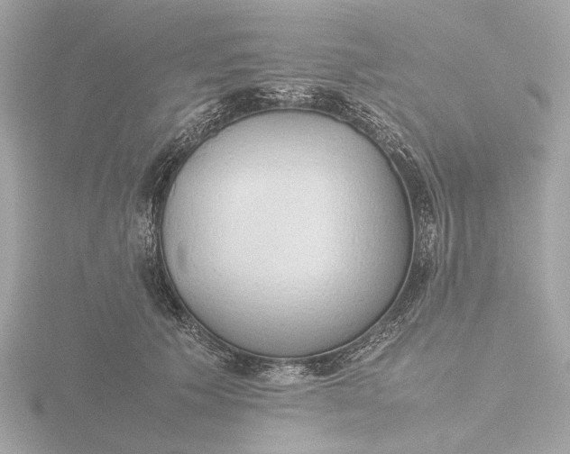 X0000116420609200912221447
