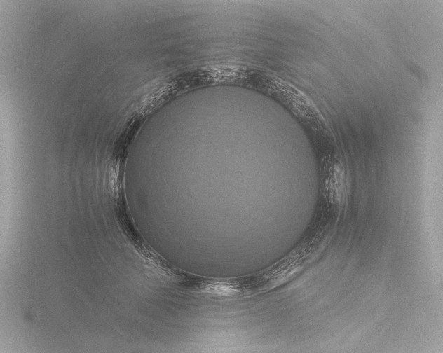 X0000116420610200912221447