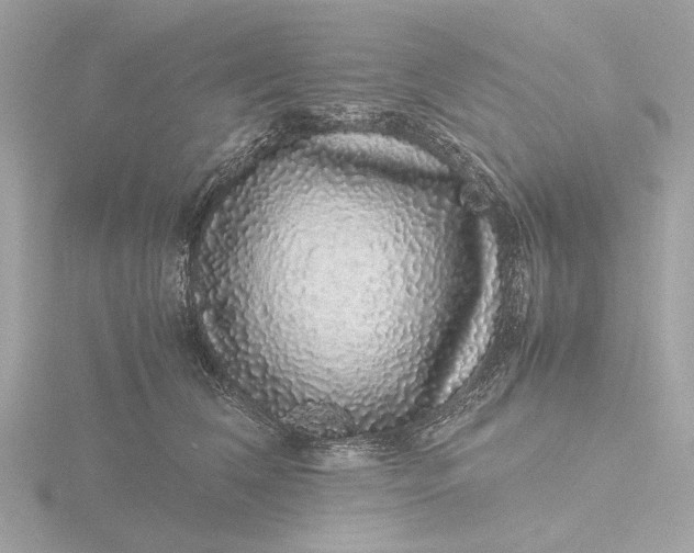 X0000116420612200912221447