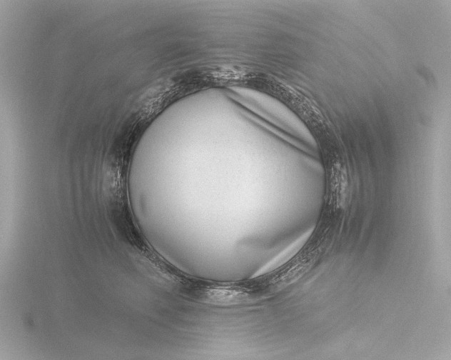 X0000116420614200912221447