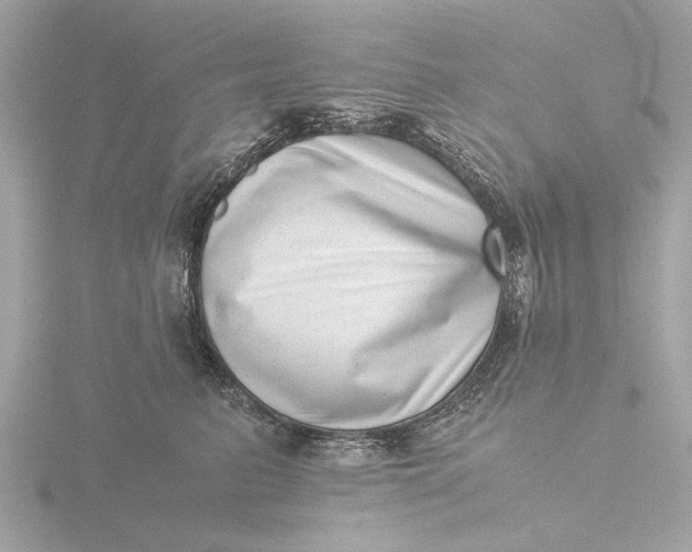 X0000116420615200912221447