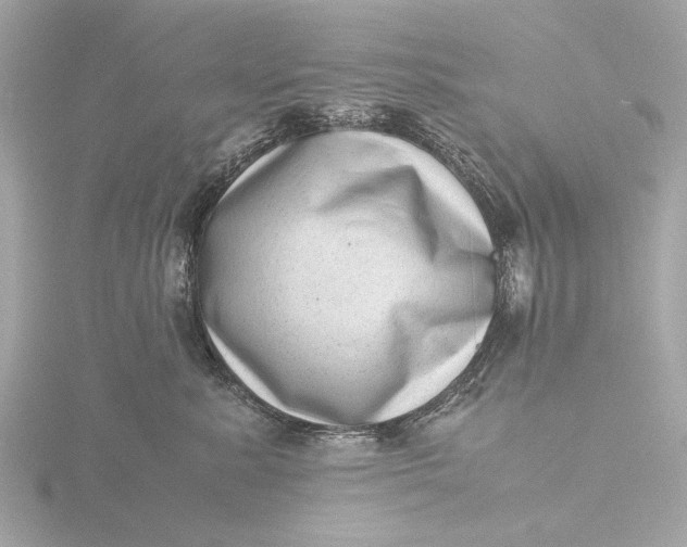 X0000116420619200912221447