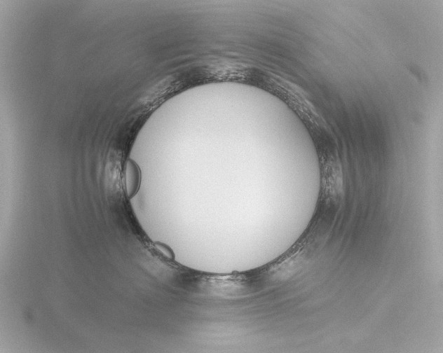 X0000116420622200912221447