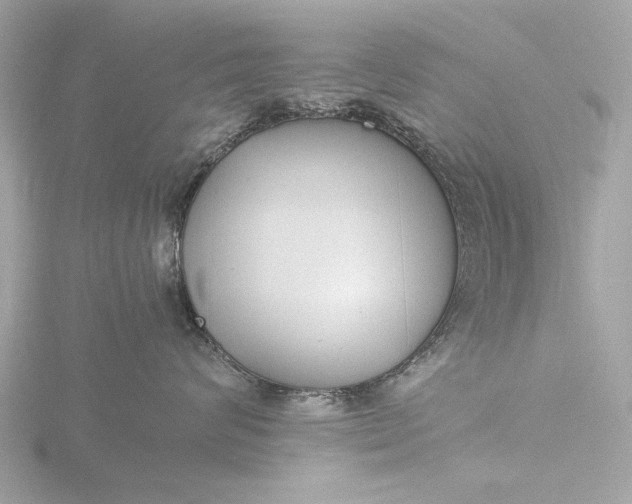 X0000116420624200912221446