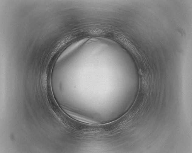 X0000116420626200912221446