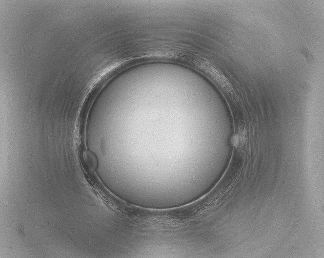 X0000116420628200912221446